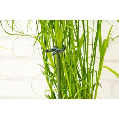 21. KINZO Pflanzenclips, 20 Stück