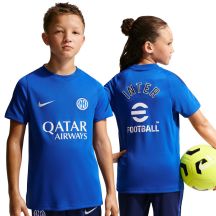Nike Inter Mailand Strike Kinder-T-Shirt Blau IR0095 439
