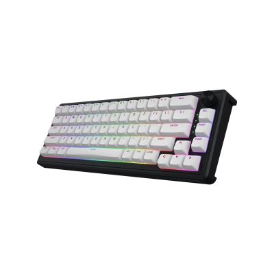 21. HATOR Skyfall 65 MAG ULTRA 8K Gaming-Tastatur USB QWERTY US Englisch Schwarz, Weiß