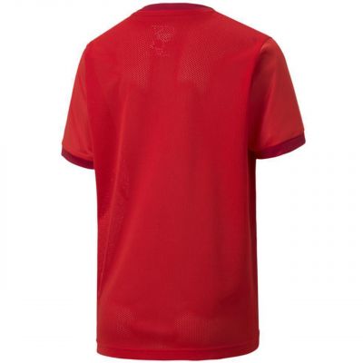 2. Puma teamGOAL 23 Trikot Jr 704160 01