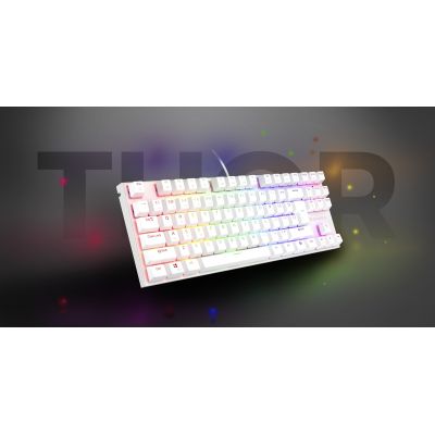 9. GENESIS THOR 303 TKL US WEISS RGB MECHANISCHE GAMING-TASTATUR MIT LEISEM SCHALTER UND HOT-SWAP-FUNKTION