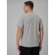 2. Herren-T-Shirt mit Print und Regular Fit 4F 4FRSS26TTSHM3989-10S