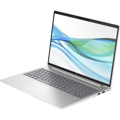 15. HP ProBook 465 G11 Ryzen 5 7535U 16" WUXGA AG IPS 16 GB DDR5 SSD512 Radeon 660M 56 Wh Win11 2 Jahre Vor-Ort-Service Pike Silver TCO