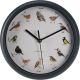 8. Wanduhr für Ornithologen, 25 cm