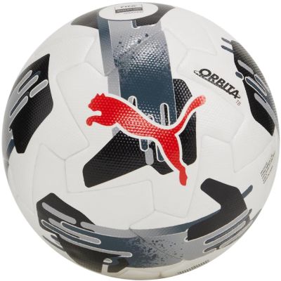 2. Puma Orbita 1 TB FIFA Quality Pro 84322 02 Fußball