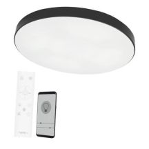 Boston Deckenleuchte 2x60W D80RC LED schwarz