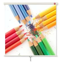 AVTEK WALL STANDARD 200 Projektionsleinwand zur Decken- oder Wandmontage (Decke, Wand; manuell ausgerollt; 200 x 200 cm; 1:1; 111")