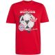 2. adidas FC Bayern München Saisonales Grafik-Herren-T-Shirt Rot KG2586