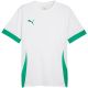 Puma teamGoal Matchday Trikot Herren weiß-grün 705747 15