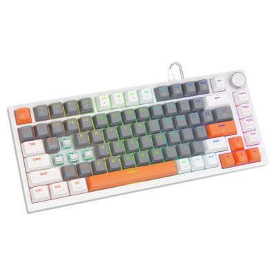 2. SAVIO MAGNETISCHE TASTATUR ASTRAL WHITE OUTEMU WHITE JADE RGB 3 TASTENKAPPEN FARBEN