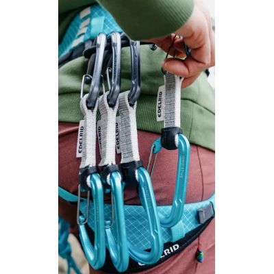 4. Edelrid 737930106020 Kletterkarabiner, Verschluss mit Verriegelung, D-Form, Blau, Silber, 6 Stück