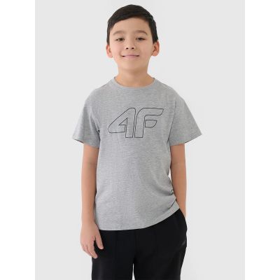 3. T-Shirt 4F Jr 4FJWMM00TTSHM2331-25M