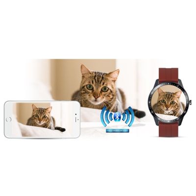 11. Smartwatch G.ROSSI SW018-4