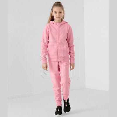 3. Hose 4F Jr HJL22-JSPDD001 56M