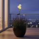 10. Solarlampe Löwenzahn, 48 LEDs, 78 cm