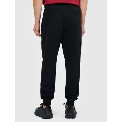 2. Herren-Jogginghose 4F 4FWMM00TTROM1676-20S