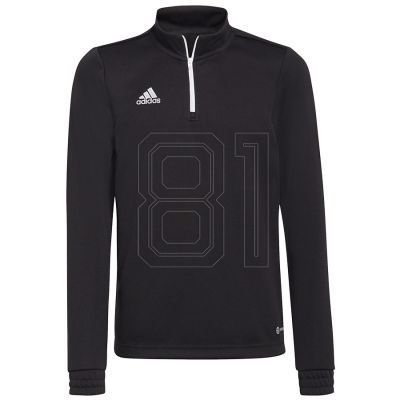 Adidas Entrada 22 Training Top Y Jr Sweatshirt H57547