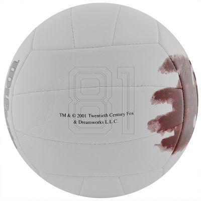 2. Wilson Mr Castaway WTH4615 Volleyball