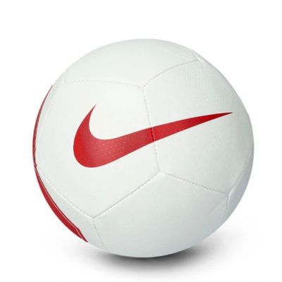 2. Nike Polen Mini-Ball IQ7545-100