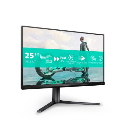 Philips Evnia 3000 25M2N3200U/00 Computermonitor 62,2 cm (24,5") 1920 x 1080 px Full HD LCD Grau