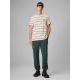 7. Herren-Jogginghose 4F 4FRSS26TTROM1915-40S