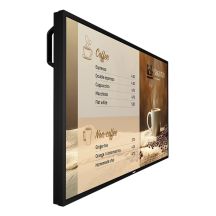 PHILIPS P-Line 43BDL6017P 109,2cm(43") 24/7/UHD (Speditionsversand)