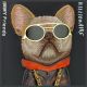 7. Nimmy Glasses Cool Dog Case für iPhone 15 Pro - Schwarz