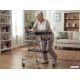 17. Hoher Rehabilitationsrollator, Pulttyp