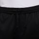 3. Nike Dri-Fit Academy 25 M FZ9805-010 Pants