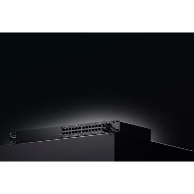 Teltonika-Mann. Falf PoE-Switch. 24x1000Mbps+4SFP
