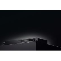 Teltonika-Mann. Falf PoE-Switch. 24x1000Mbps+4SFP