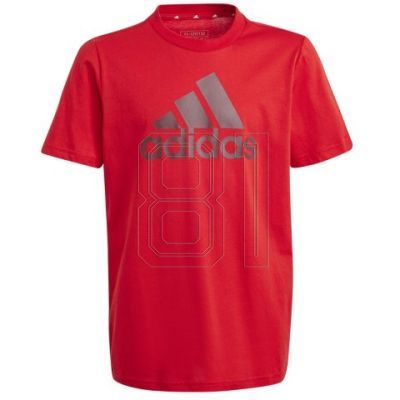 adidas Big Logo Tee Jr IJ6262