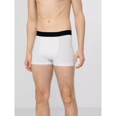 3. Boxershorts 4F M H4Z22-BIM350-92S