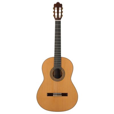 Prodipe Guitars Soloist 700 4/4 - klassische Gitarre