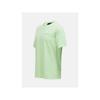 2. PEAK PERFORMANCE Original Small Logo Tee Herren-T-Shirt grün