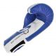27. Masters Boxhandschuhe Rbt-PZKB-W 011101-02W