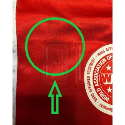 40. Masters SKBP-100W Hose (Wako-Zulassung) 06805-02M