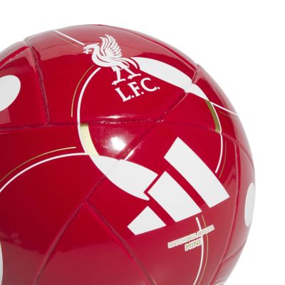 3. adidas Liverpool FC Mini-Heimball JY6165
