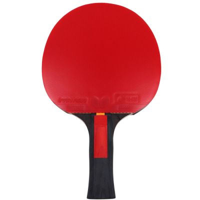 3. Tischtennisschläger Butterfly Ovtcharov