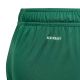 11. adidas Tiro 24 Jr IT2409 Shorts