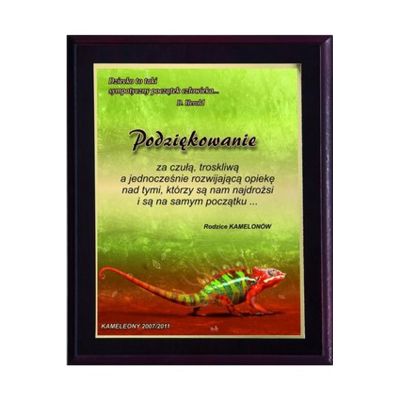 3. Kunststoffdiplom mit Farblaminat