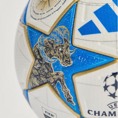 3. adidas UCL Pro 25/26 Liga-Bühnenfußball CHAMPIONS LEAGUE JD0188