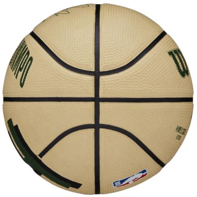4. Wilson NBA Player Icon Giannis Antetokounmpo Miniball WZ4007501XB Basketball