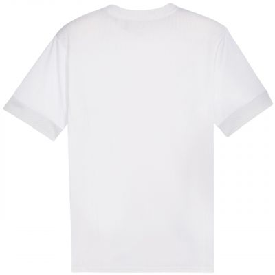 2. Puma teamGoal Spieltagstrikot M 705747 04