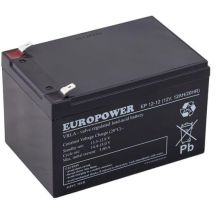 EUROPOWER EP Serie 12V 12Ah AGM-Batterie (Lebensdauer 6-9 Jahre)