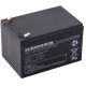 EUROPOWER EP Serie 12V 12Ah AGM-Batterie (Lebensdauer 6-9 Jahre)