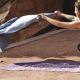 17. Gaiam Cranberry Point 2 MM 63640 Yogamatte