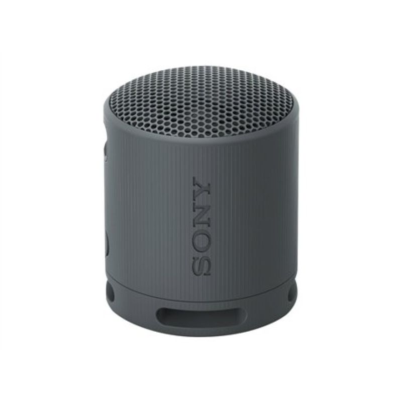 4. Sony SRS-XB100 Tragbarer Mono-Lautsprecher Schwarz