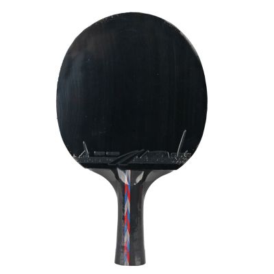 4. Tischtennisschläger Aurora PRO 3* SG 3002
