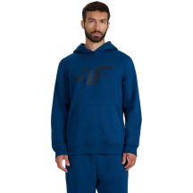 Herren Sweatshirt 4F M1766 Seegrün 4FWMM00TSWSM1766 46S